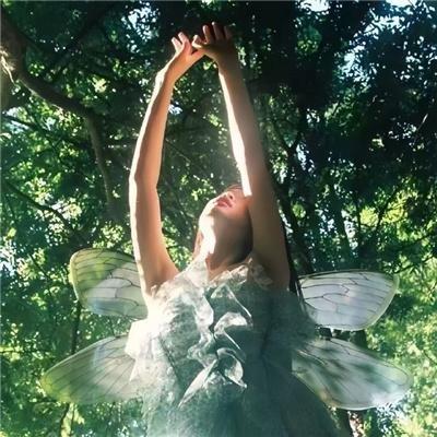 2025江苏元宵：鞠婧祎黄子弘凡神仙嗨唱